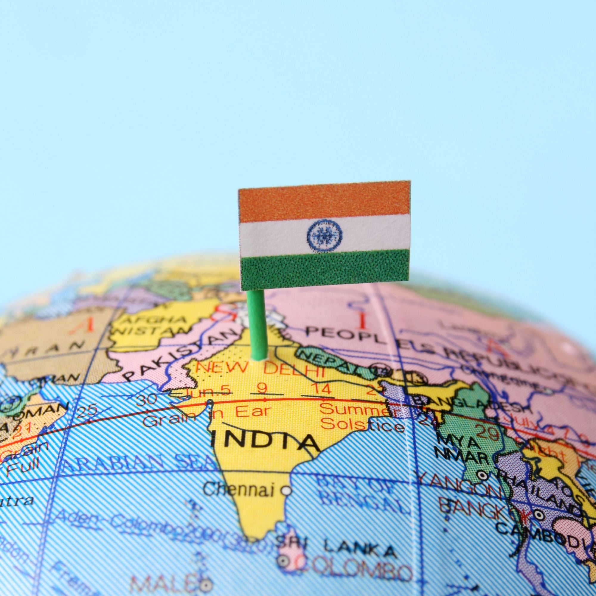 The Connection Between India and Millets: Why the World's Best Millets Are Found in India