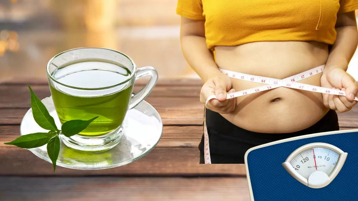 Can green tea burn fat?