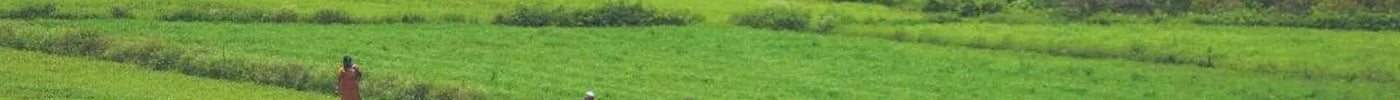 Millets Impact on Climate Change ?