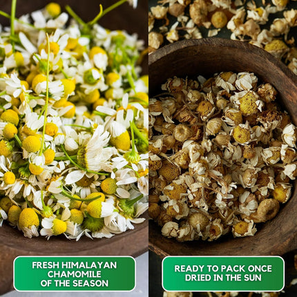 Danodia foods Organic Chamomile Tea || Best Organic Green Tea || Dried Chamomile