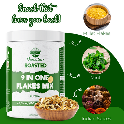 Danodia Foods Roasted 9 in One Flakes Mix - Pudina Flavour (200g / 7.05 oz) | Healthy Snack | Low Fat | Gluten Free Indian Snack