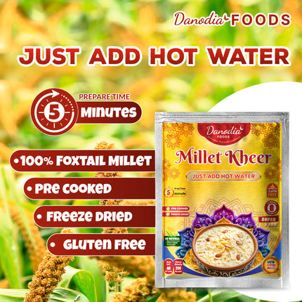Danodia Foods Foxtail Millet Pudding 120g (Pack of 2) |Just add hot water